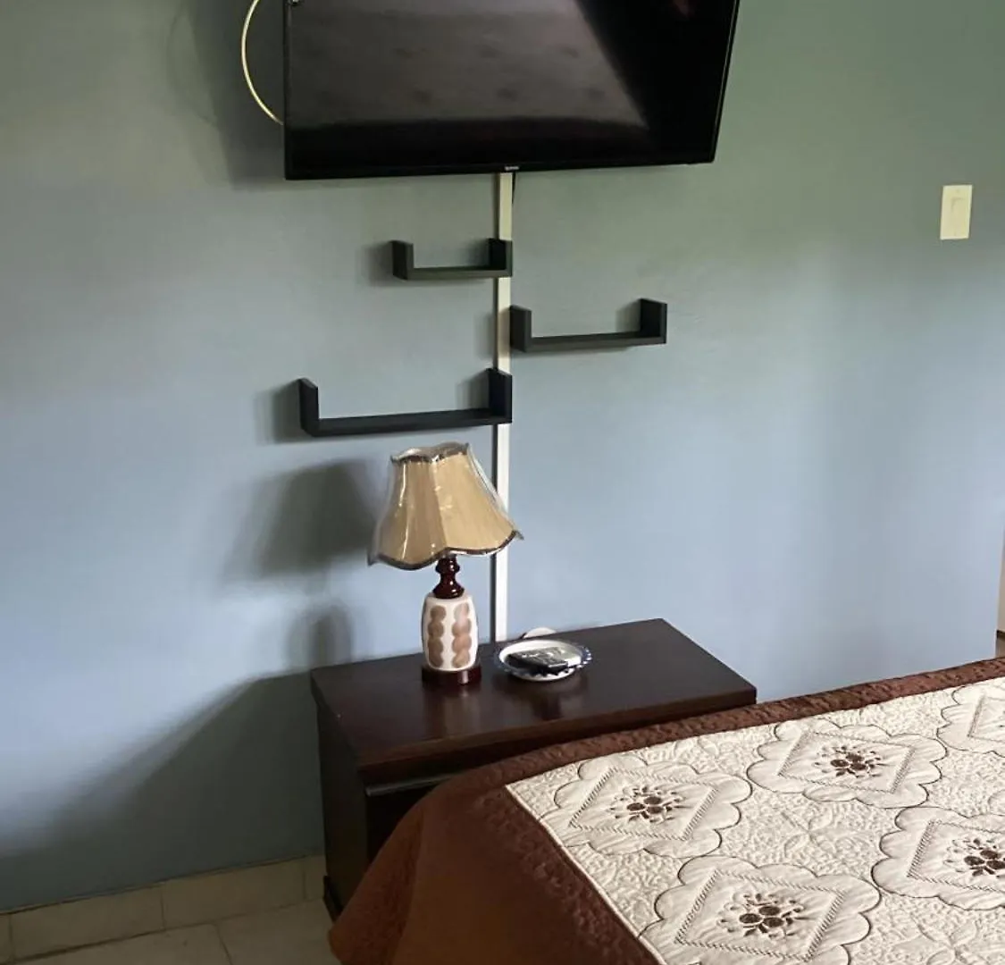 One Bedroom Apt Kingston Apartment