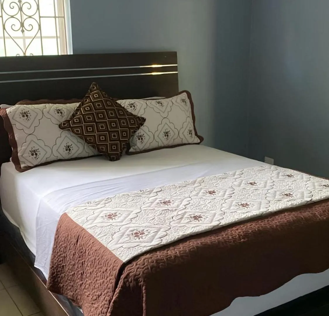 One Bedroom Apt Kingston